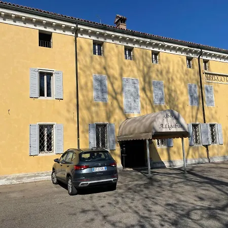 Confidence Ligabue Hotell