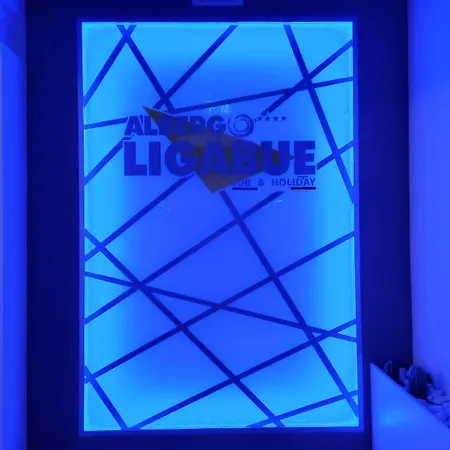 Confidence Ligabue מלון גווסטלה