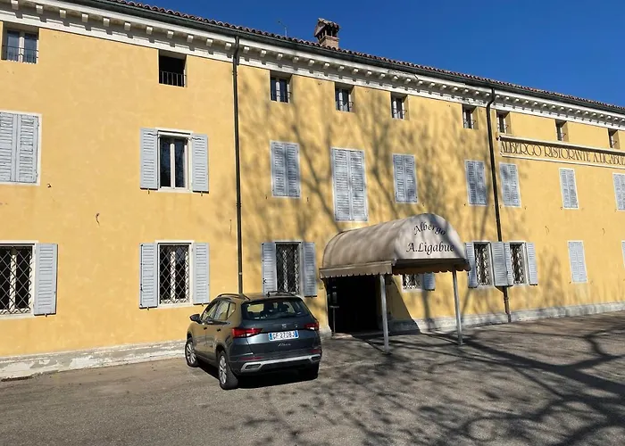 Confidence Ligabue Hotel